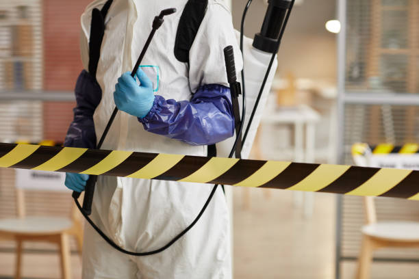 Professional Hoarding Cleanup technician working in Dover, FL